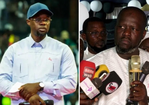 Massaly écrase Sonko et les maires Pastef de Thiès